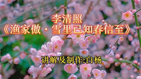 此花知春|李清照词传——此花不与群花比